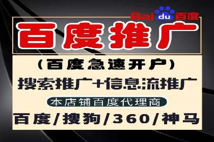 SEM主管实战案例：广告投放策略优化